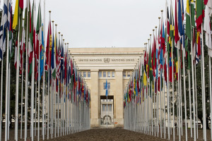Flags of the 193 UN Member States outside the Palais des NationsCredit: UN Photo / Jean-Marc Ferré