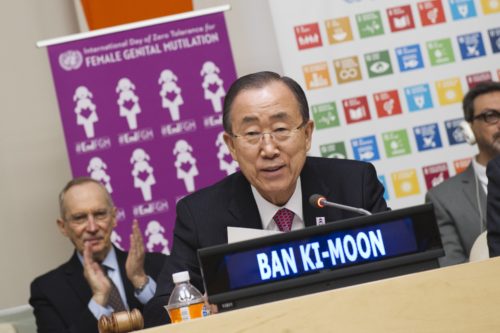 “Mobilizing to Achieve the Global Goals through Elimination of Female Genital Mutilation by 2030”