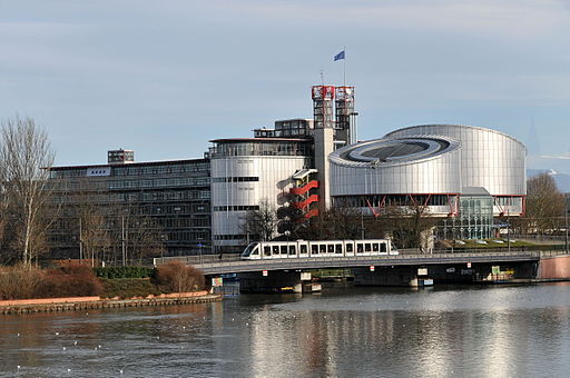 14-02-06-parlement-europeen-strasbourg-ralfr-003