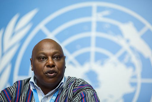 UN Special Rapporteur Maina KiaiCredit: Guyinnairobi photos via Wikimedia Commons